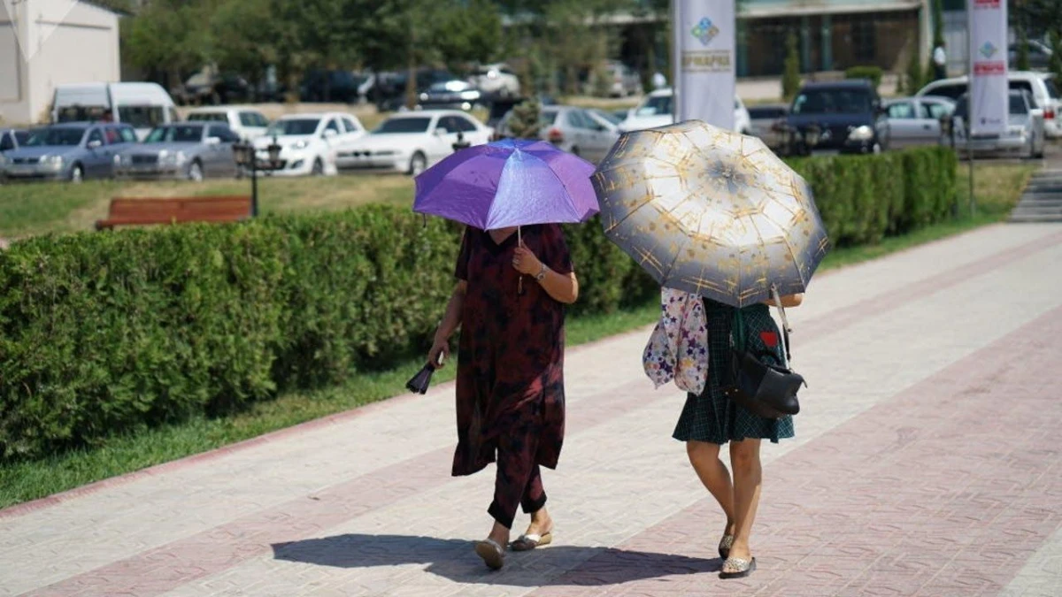 O‘zbekistonda 18-may kuni qanday ob-havo kuzatiladi?