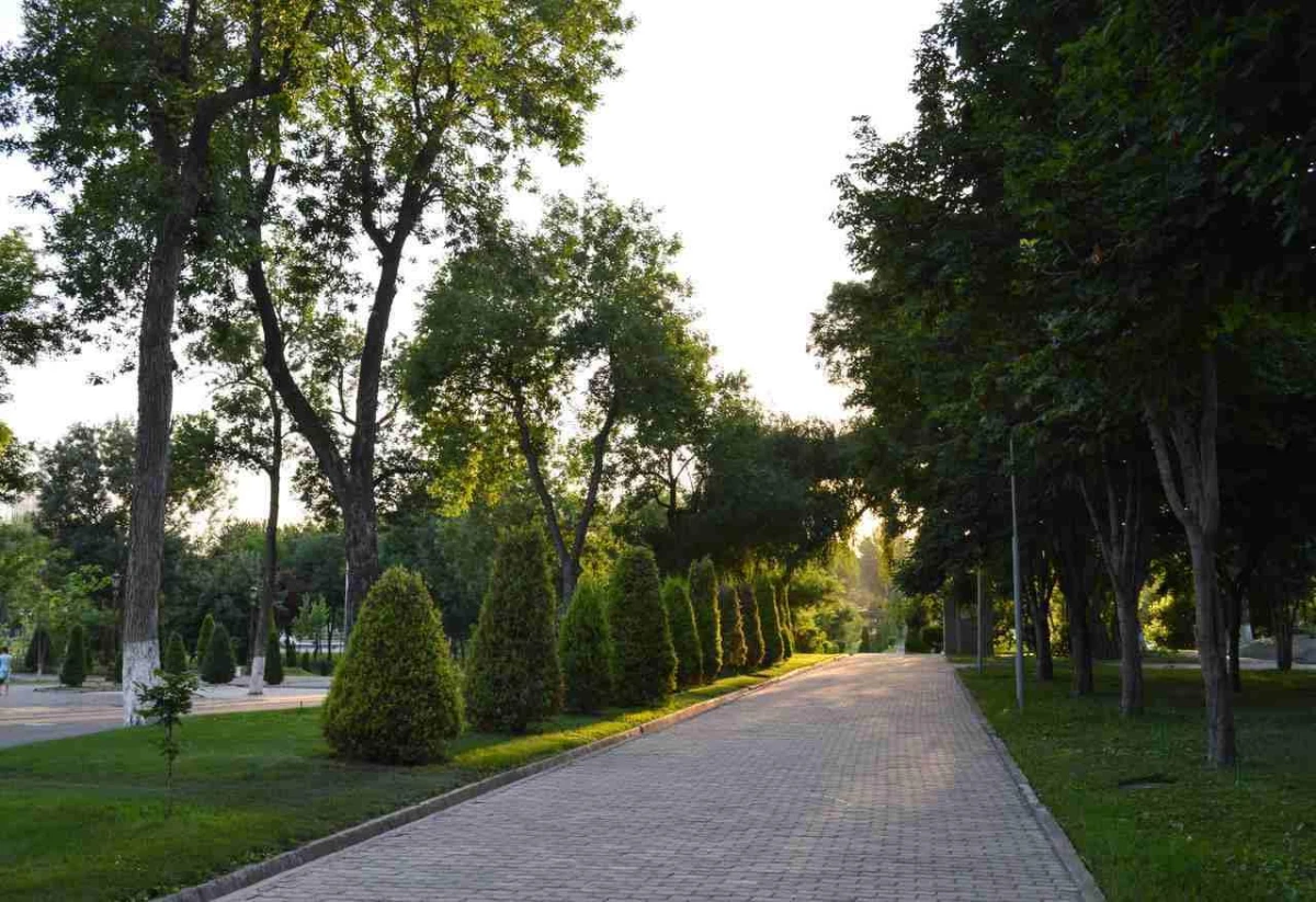 O‘zbekistonda 24-iyul kuni qanday ob-havo kuzatiladi?