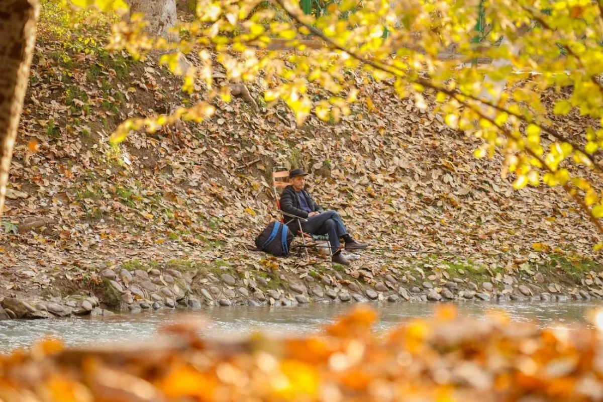 O‘zbekistonda dam olish kunlarida: 31-oktyabr–3-noyabr kunlari qanday ob-havo kuzatiladi?