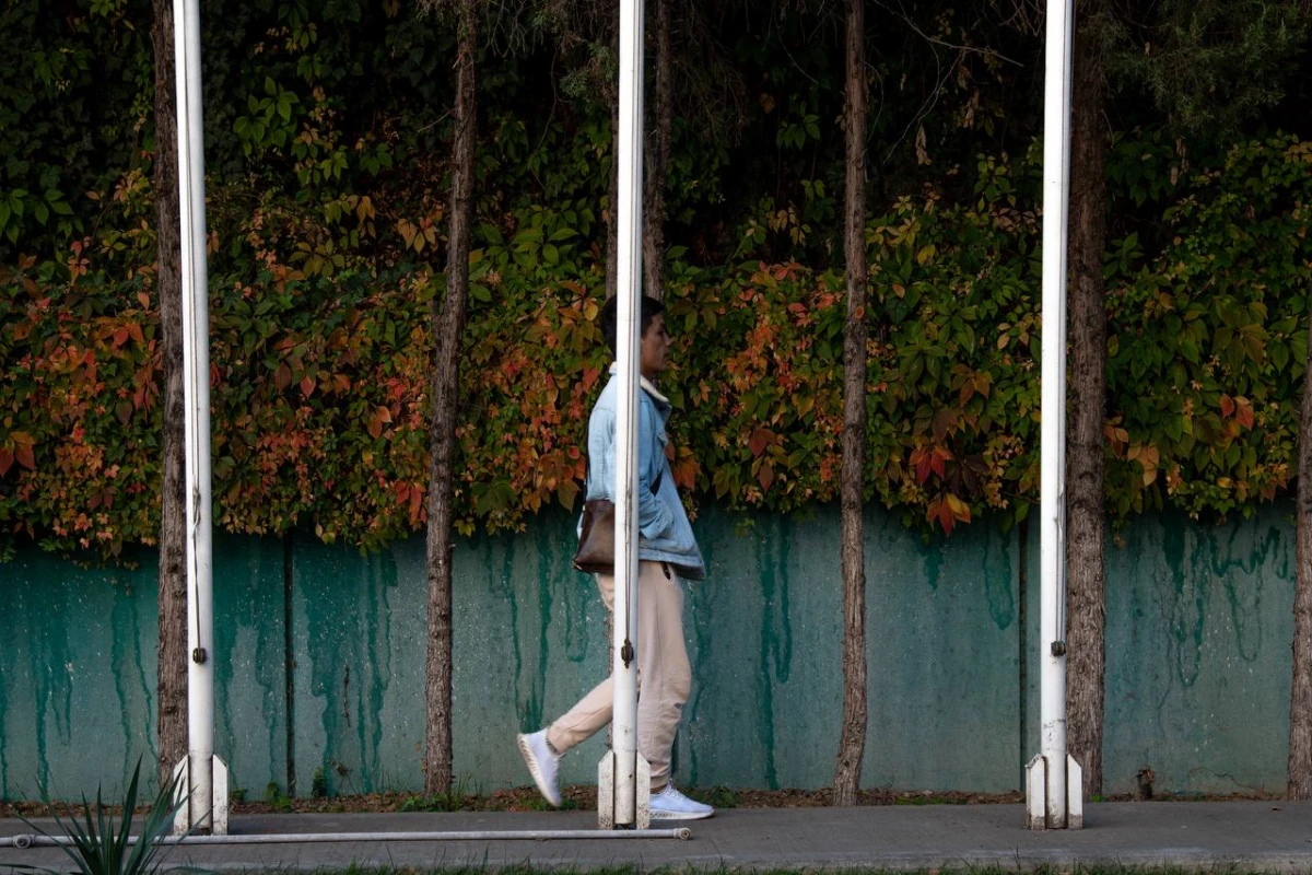 O‘zbekistonda hafta o‘rtasida: 4–7-noyabr kunlari qanday ob-havo kuzatiladi?