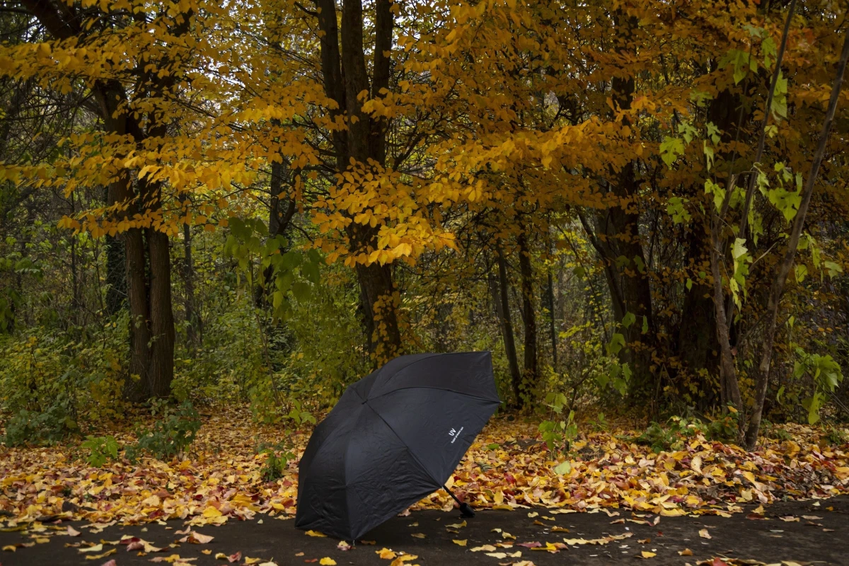 O‘zbekistonda hafta oxirida: 7–10-noyabr kunlari qanday ob-havo kuzatiladi?