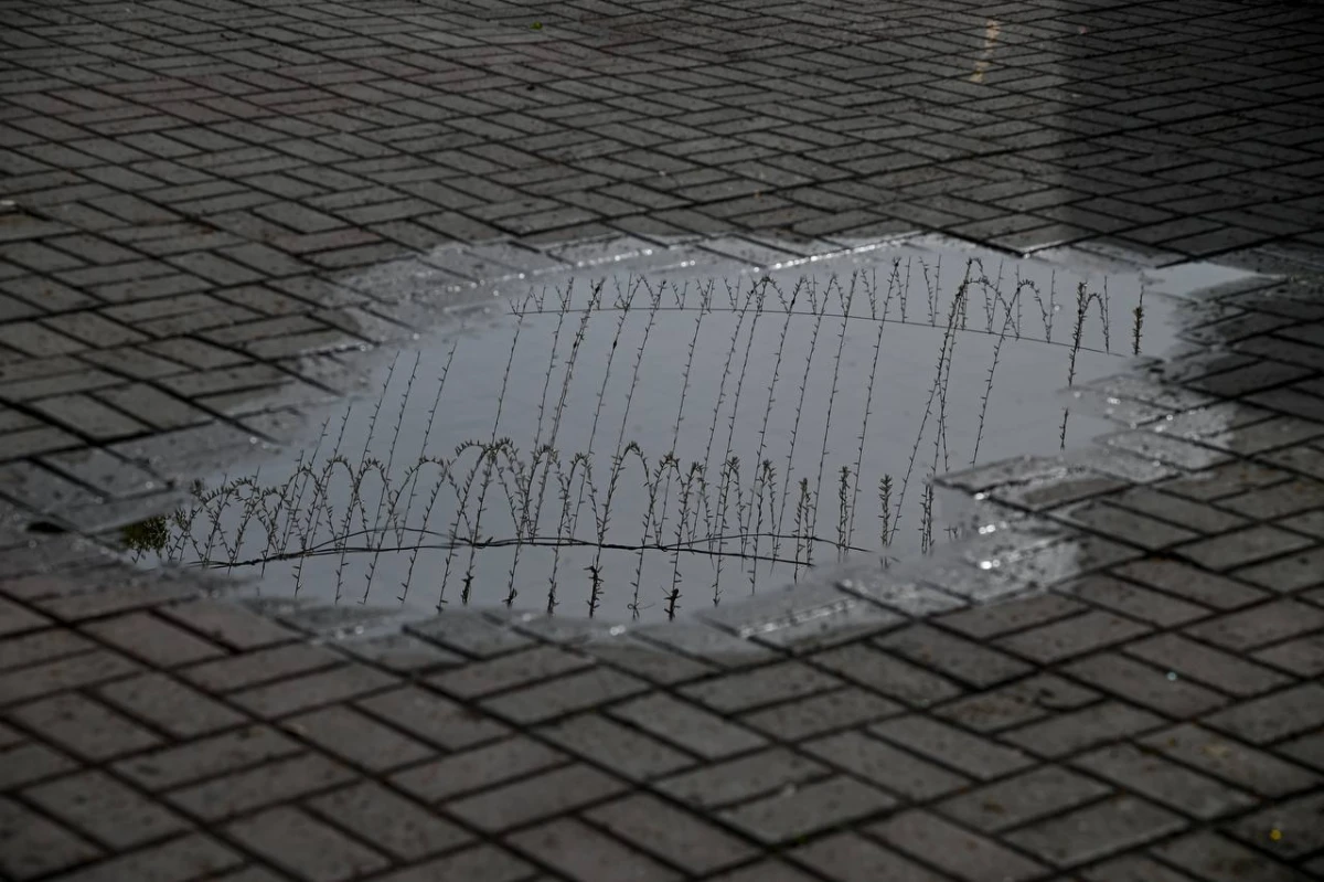 O‘zbekistonda dam olish kunlarida: 8–11-noyabr kunlari qanday ob-havo kuzatiladi?