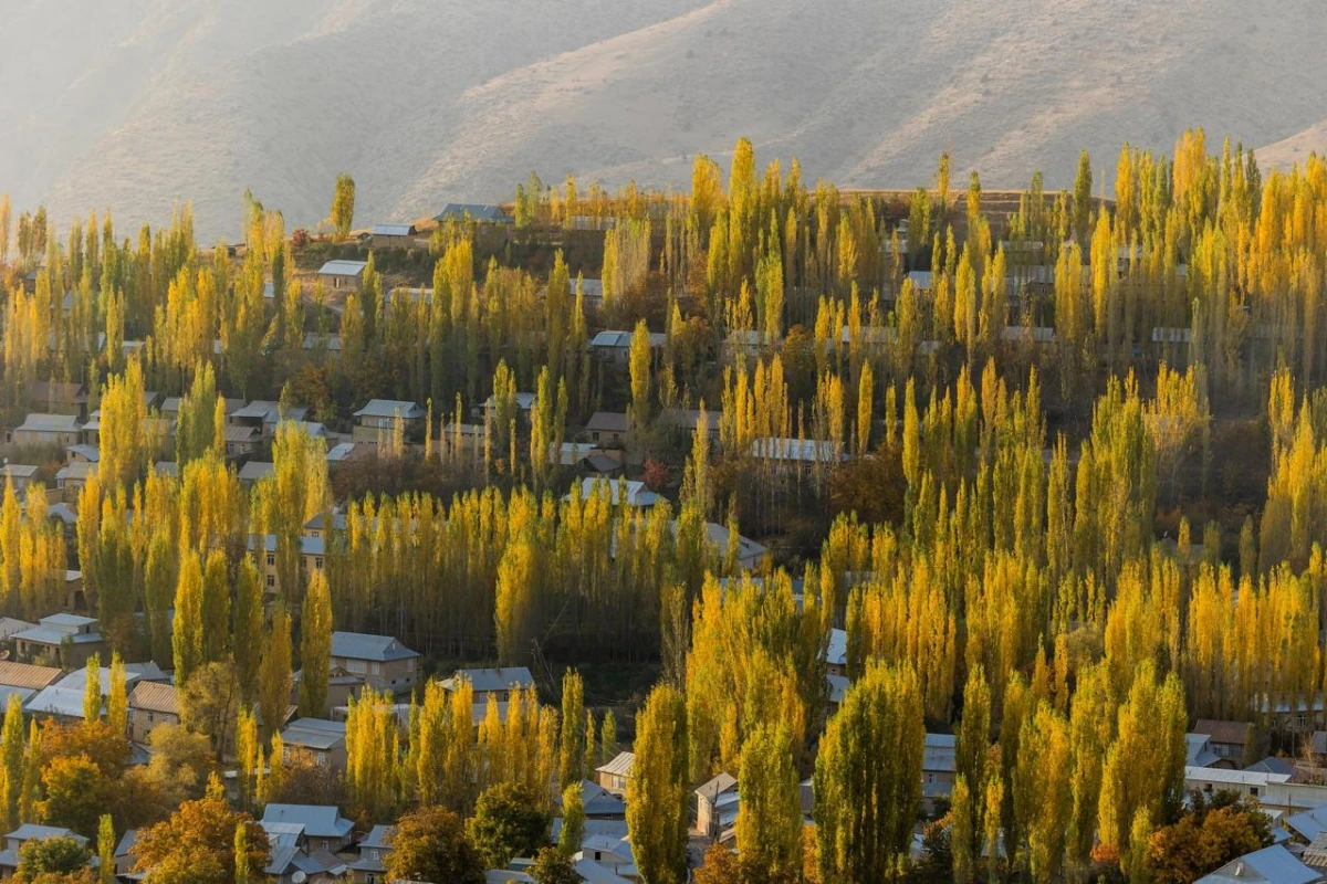O‘zbekistonda 9-noyabr kuni qanday ob-havo kuzatiladi?