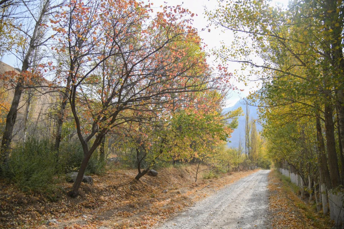 O‘zbekistonda 14-noyabr kuni qanday ob-havo kuzatiladi?