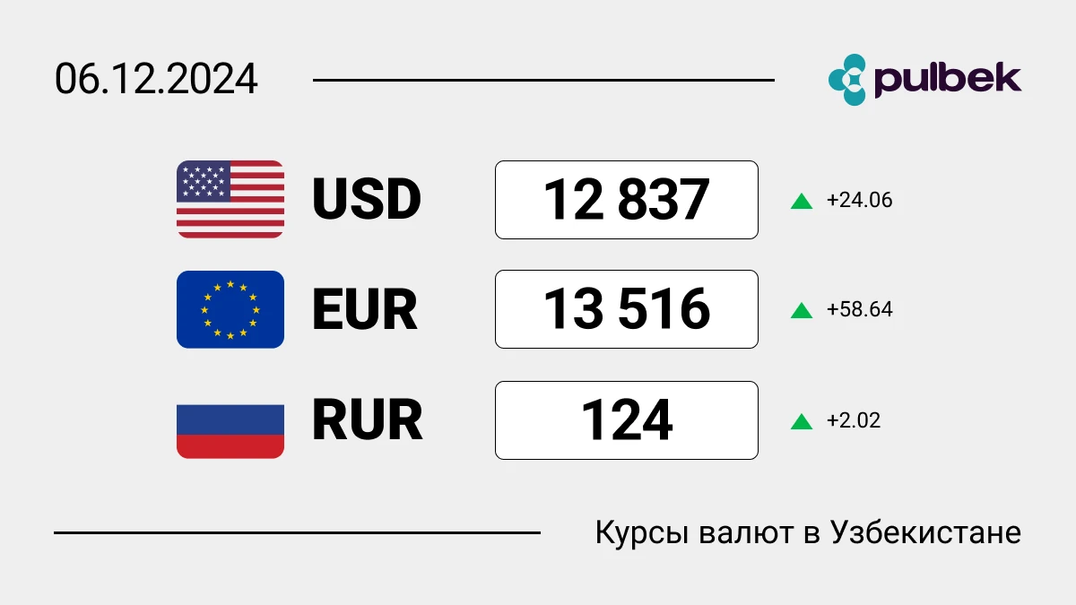 Курсы валют в Узбекистане на 6 декабря 2024: доллар и евро наносят ответный удар