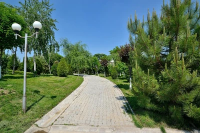 21–23-iyun kunlari hududlarda qanday ob-havo kuzatiladi?