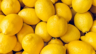 O‘zbekiston limon eksportini deyarli 5 foizga oshirdi