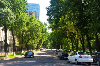 O‘zbekistonda 10-iyul kuni qanday ob-havo kuzatiladi?