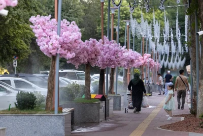 O‘zbekistonda 15-iyul kuni qanday ob-havo kuzatiladi?