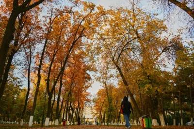 O‘zbekistonda 8-oktyabr kuni qanday ob-havo kuzatiladi?
