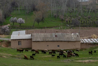 O‘zbekistonda hafta oxirida: 30-oktyabr–2-noyabr kunlari qanday ob-havo kuzatiladi?