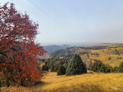 O‘zbekistonda yangi hafta boshida: 9–12-noyabr kunlari qanday ob-havo kuzatiladi?