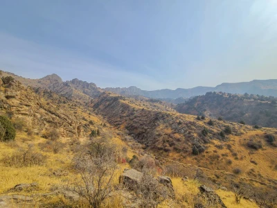 O‘zbekistonda 8-noyabr kuni qanday ob-havo kuzatiladi?