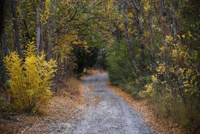 O‘zbekistonda hafta oxirida: 15–18-noyabr kunlari qanday ob-havo kuzatiladi?