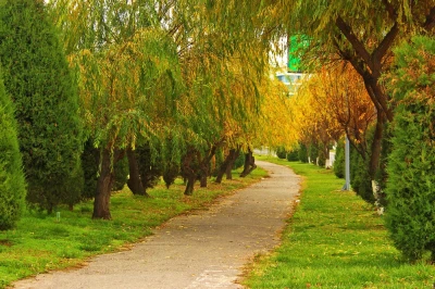 18-sentyabrda Toshkentda ob-havo: kunduzgi harorat +31°C, kechasi +14°C