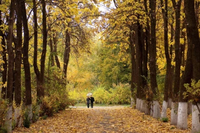 20 сентябрда Тошкентда об-ҳаво: кундузги ҳарорат +29°C, кечаси +15°C